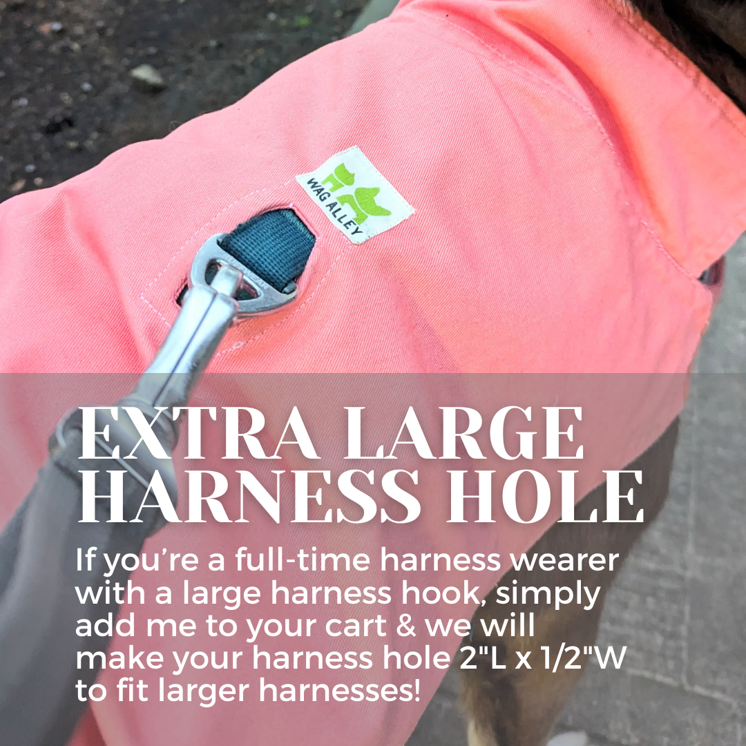 Wag Alley Custom Harness Hole