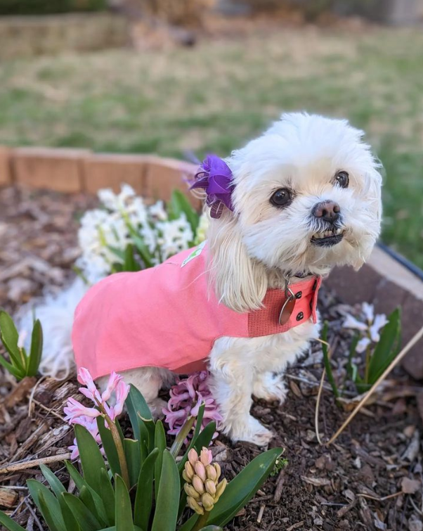Plastic-Free Raincoat Bright Coral