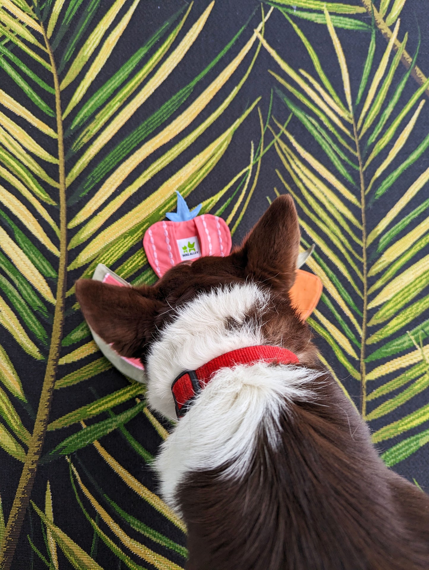 Farmer's Market Pocket Puzzle Toy