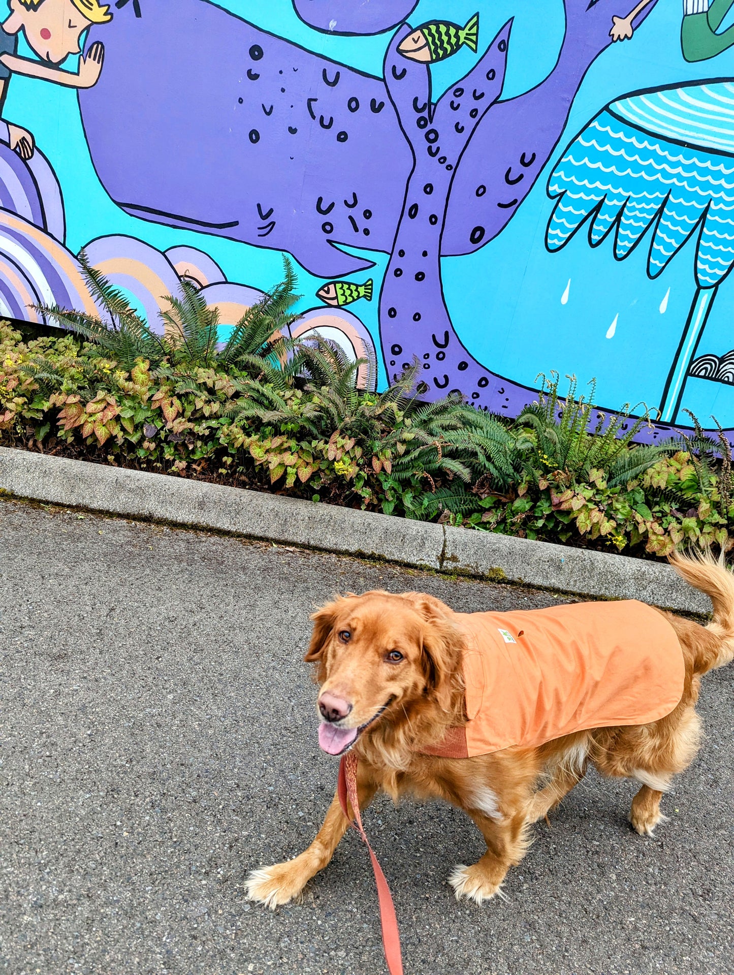 Plastic-Free Raincoat Orange Citrus