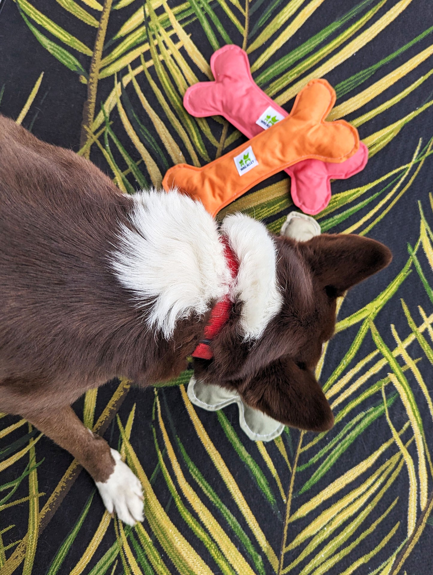 Plush Bone Toy