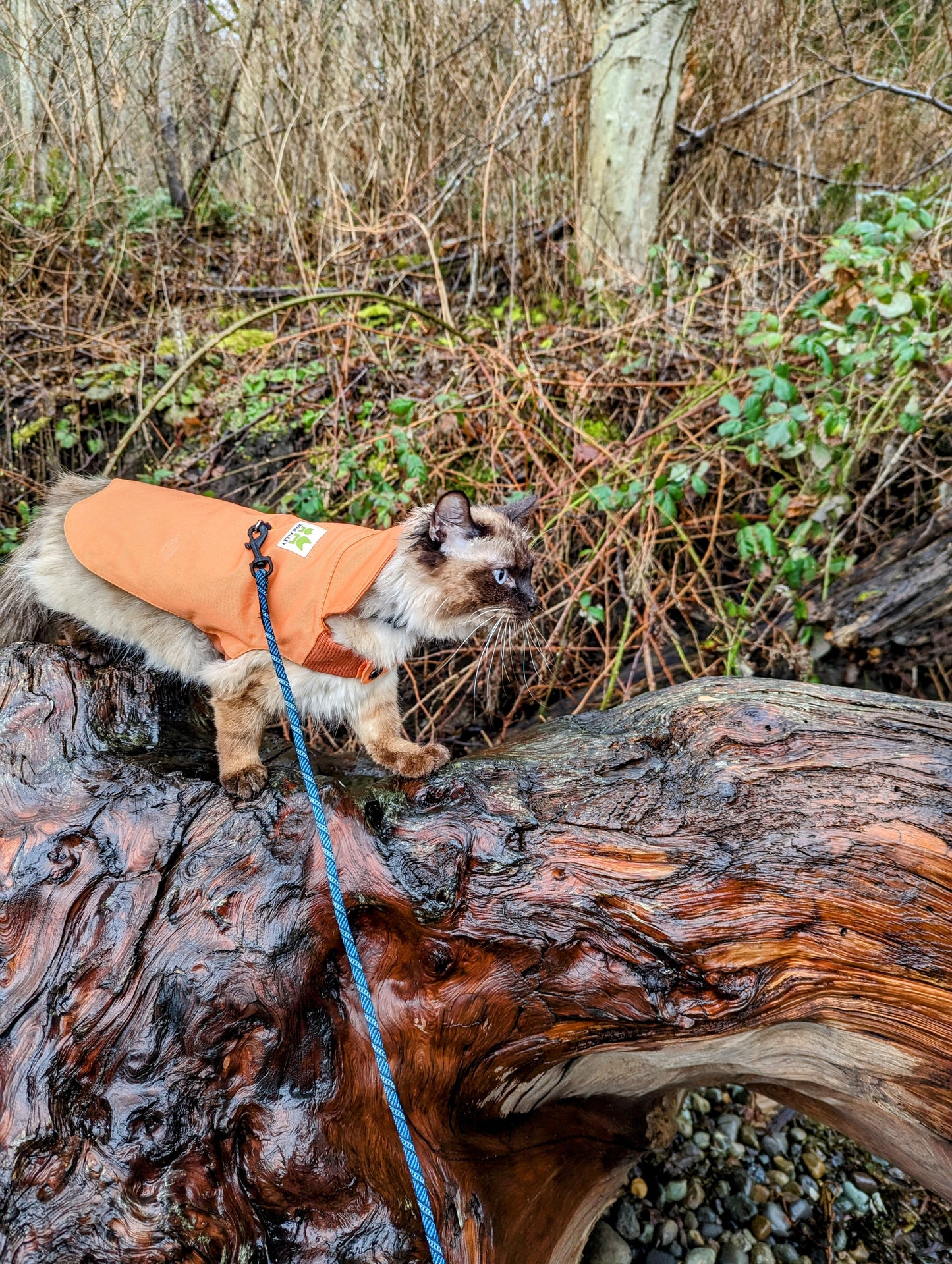 Plastic-Free Raincoat Orange Citrus