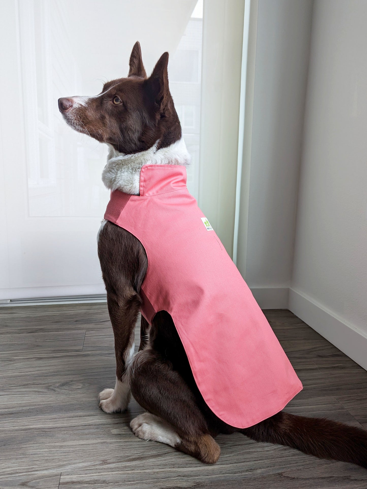 Plastic-Free Raincoat Bright Coral