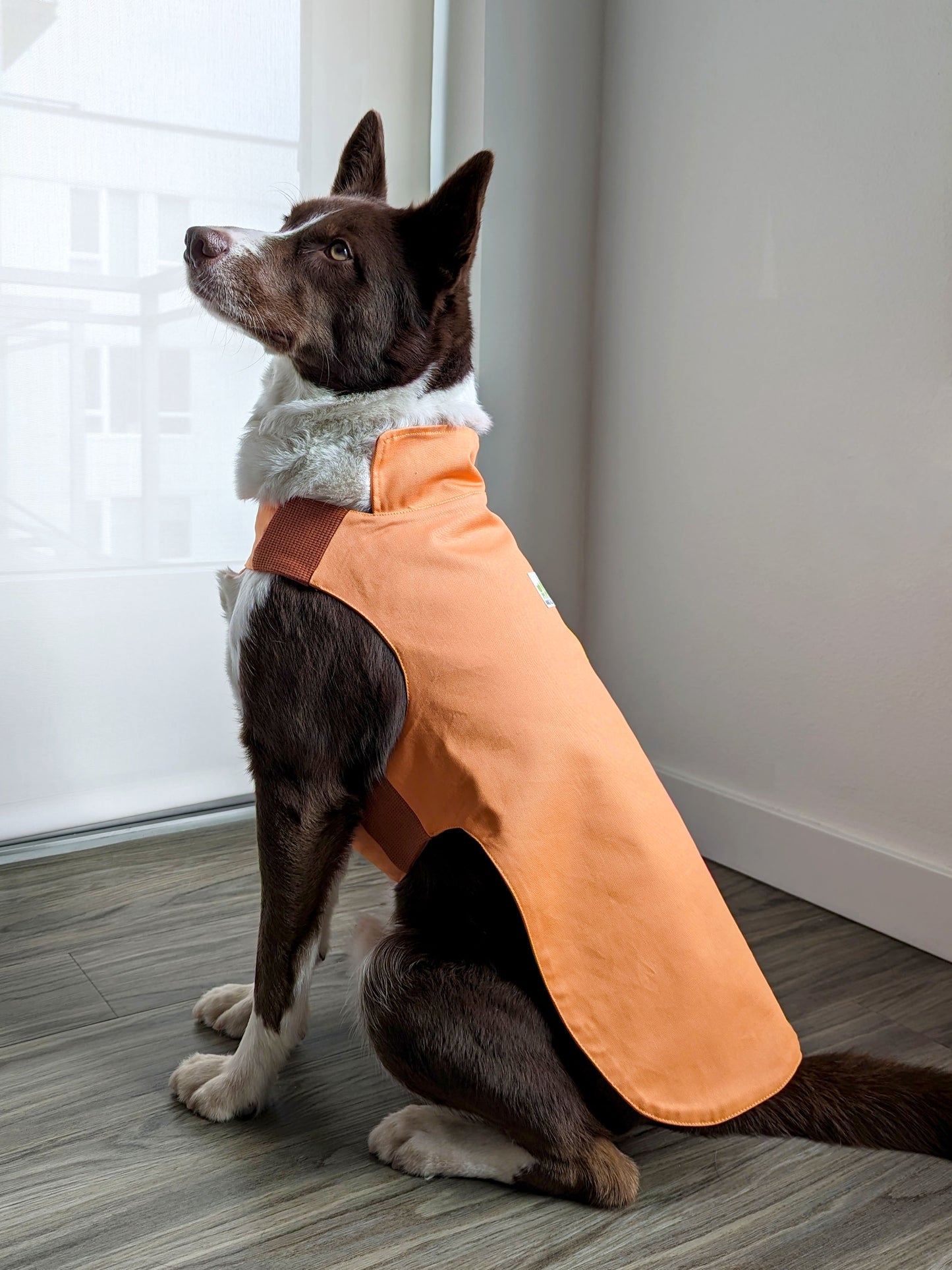 Plastic-Free Raincoat Orange Citrus