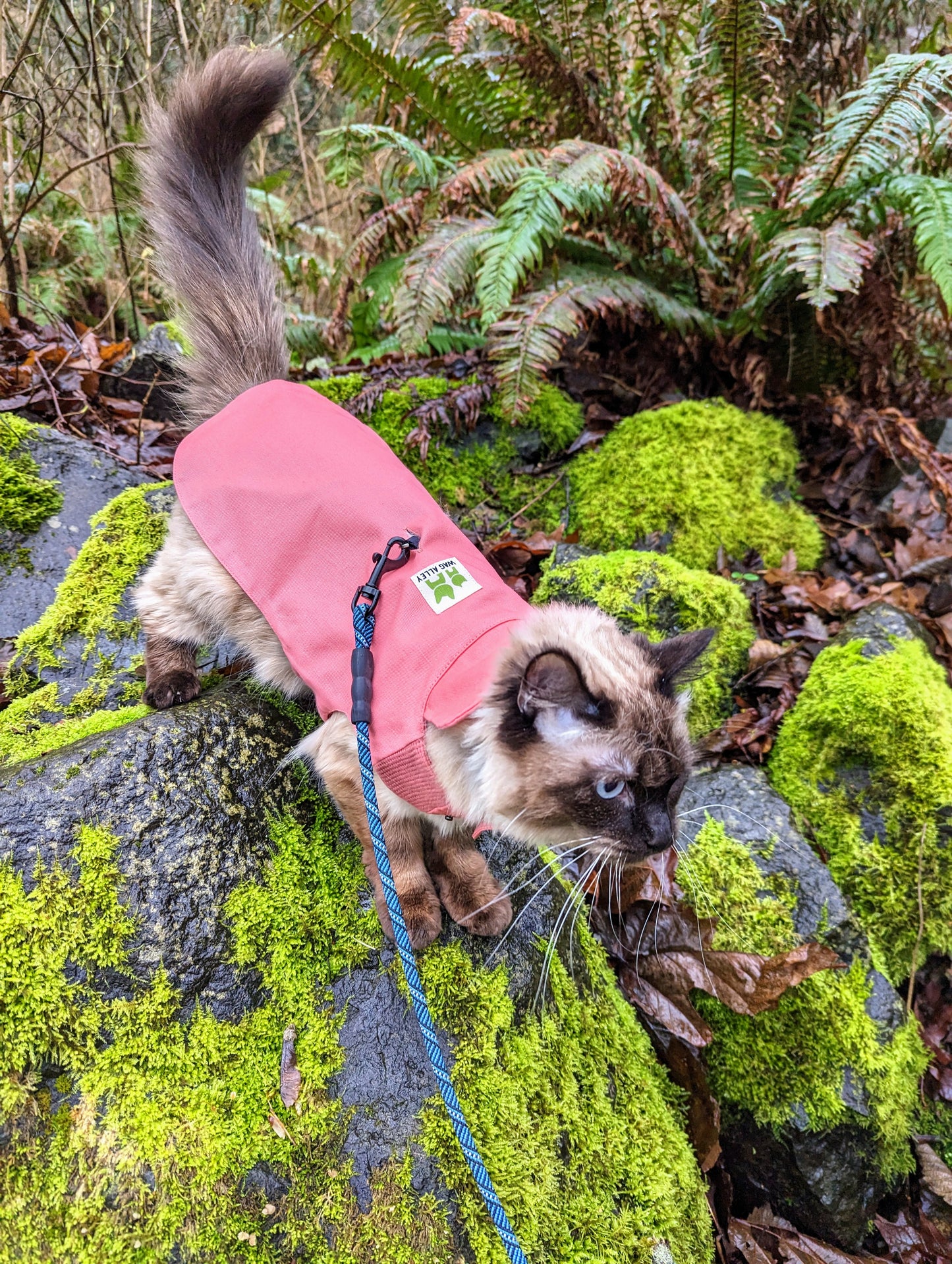 Plastic-Free Raincoat Bright Coral