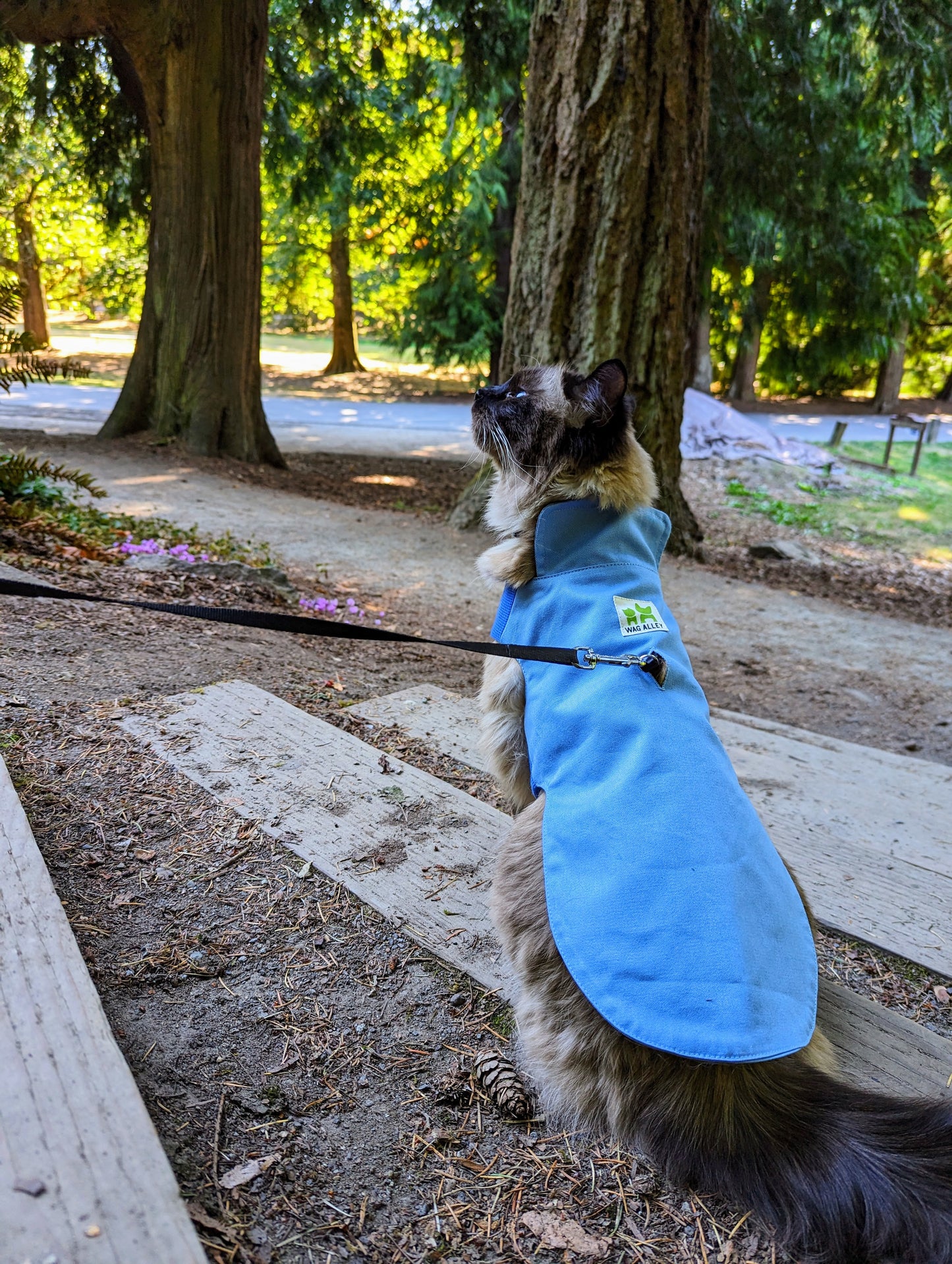 Plastic-Free Raincoat Sky Blue