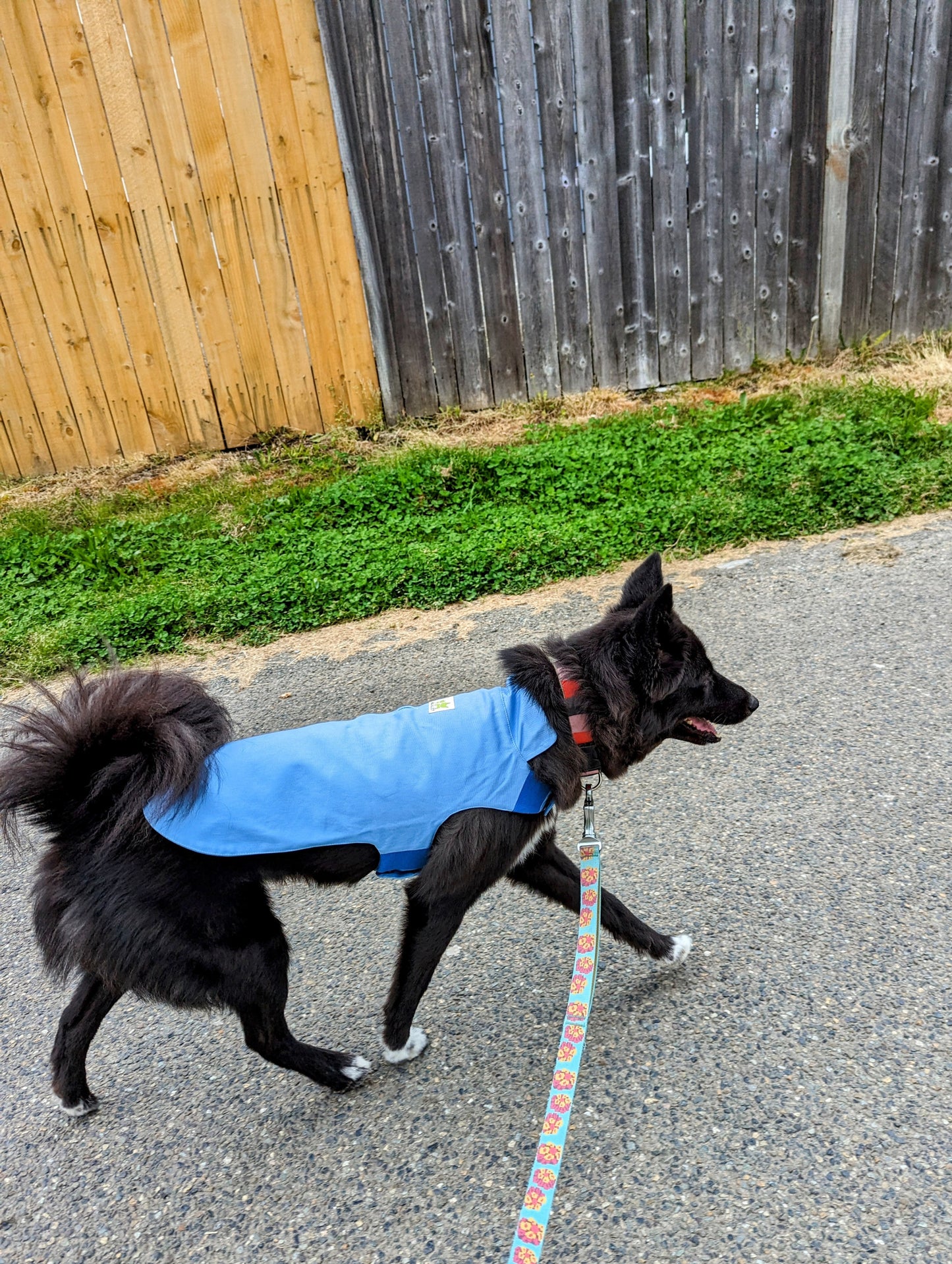 Plastic-Free Raincoat Sky Blue