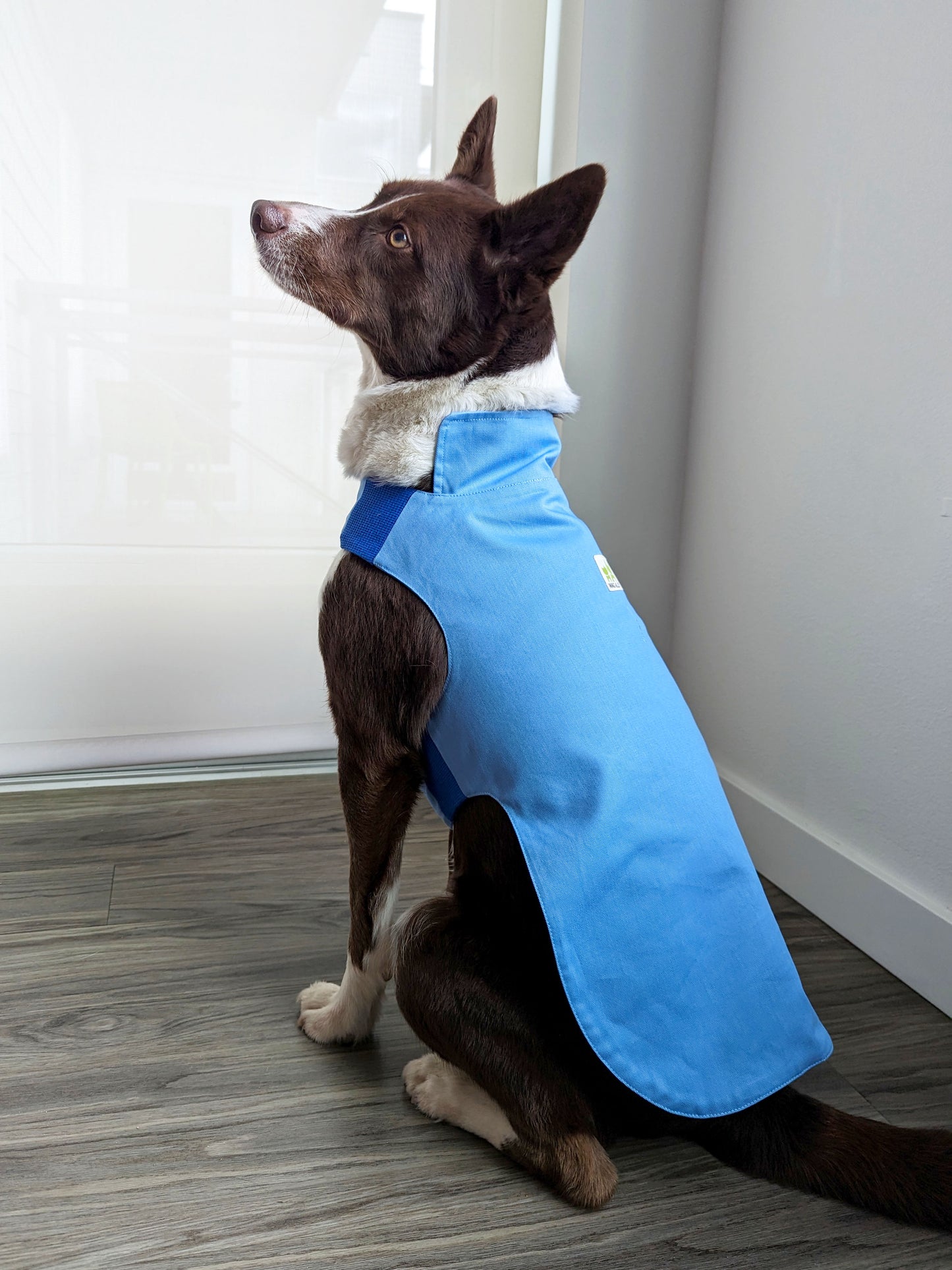 Plastic-Free Raincoat Sky Blue